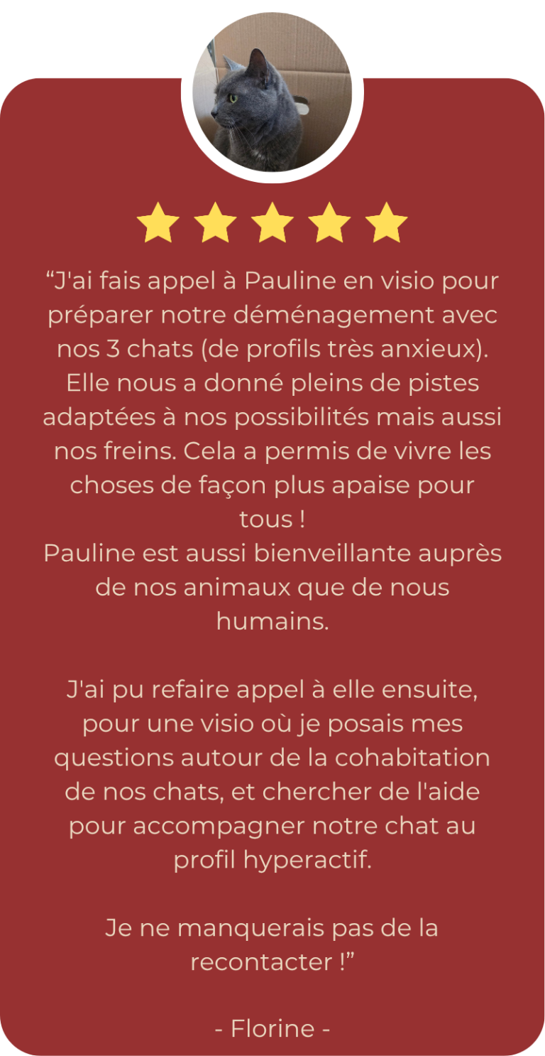 avis_florine